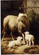 unknow artist Sheep 057 oil painting picture wholesale